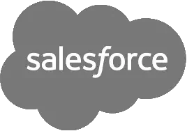 Salesforce executive strategy and team alignment client of LEVEL 12 Business Engines